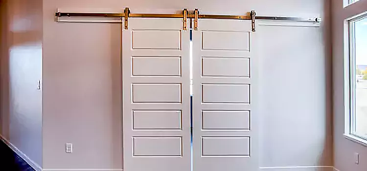 Glass Barn Door with Installation Hardware Kit Smyrna